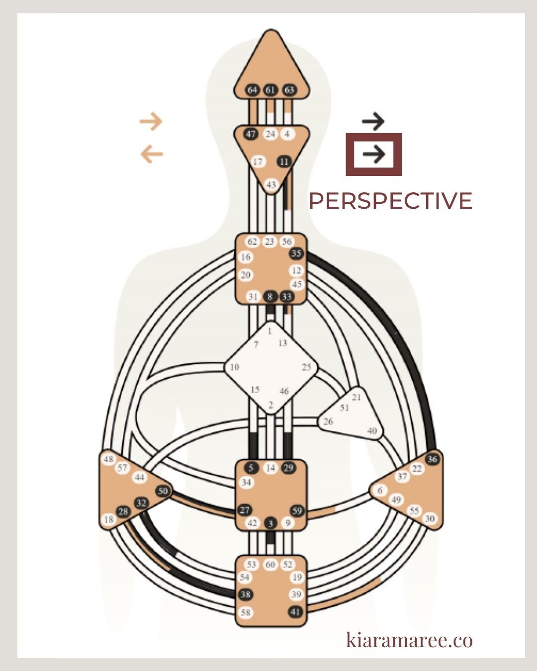 Human Design Variables (Four Arrows) In Business - Kiara Maree